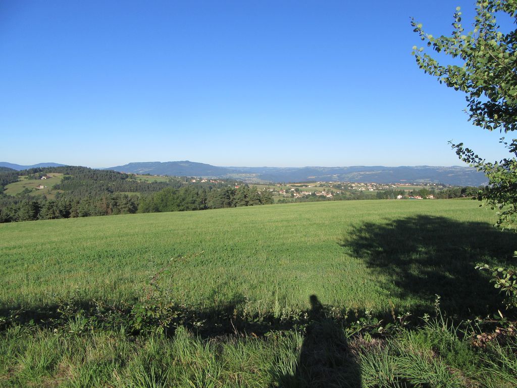 Une petite route dans la verdure pour moi toute seule :-)