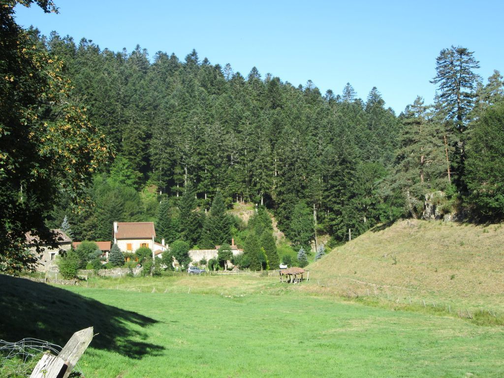 Une petite route dans la verdure pour moi toute seule :-)