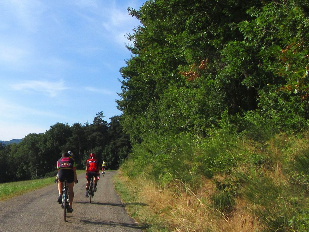 Seconde partie sur mini-routes. On perd Gilles n°2 , découragé par deux crevaisons successives. Il birfurque sur un parcours plus court. 
