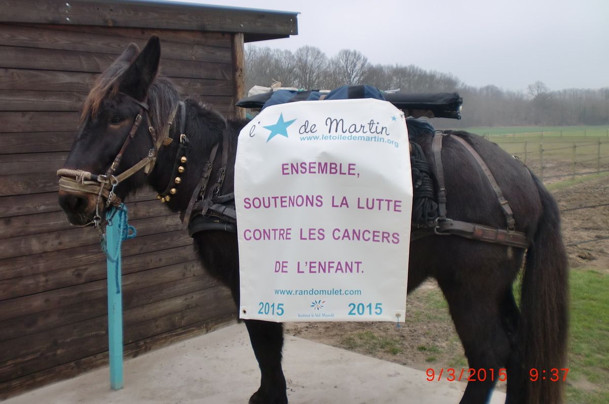 rencontres blois 2013