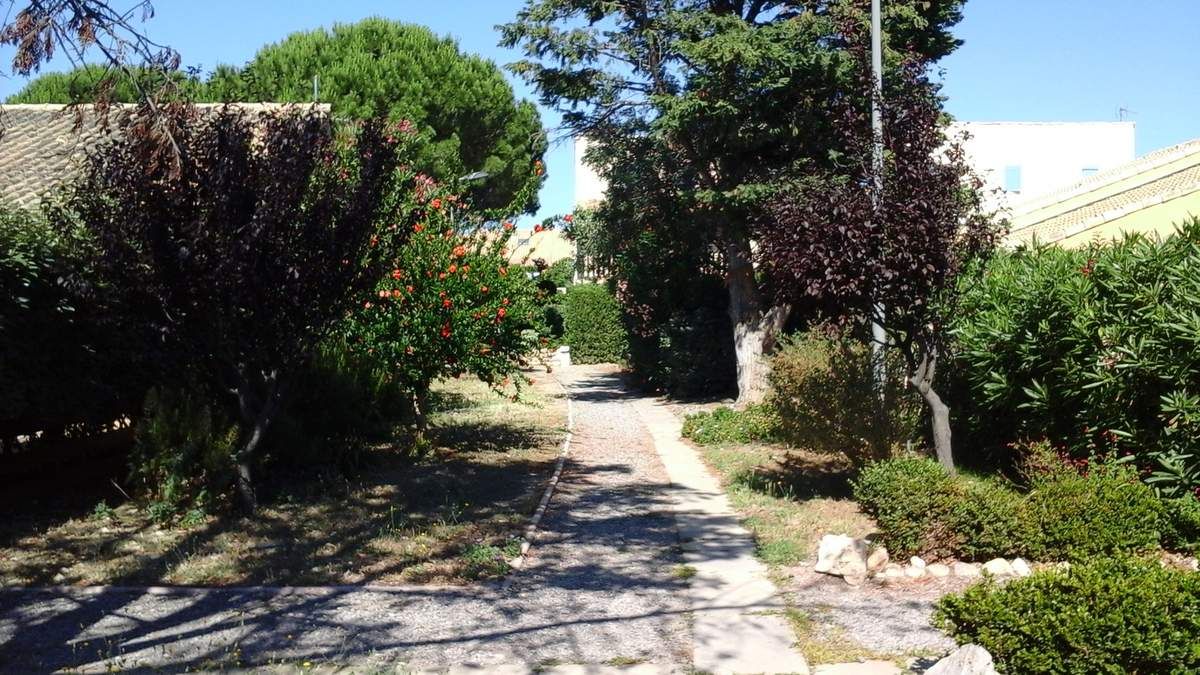 L allée qui mène à la maison de mon cousin