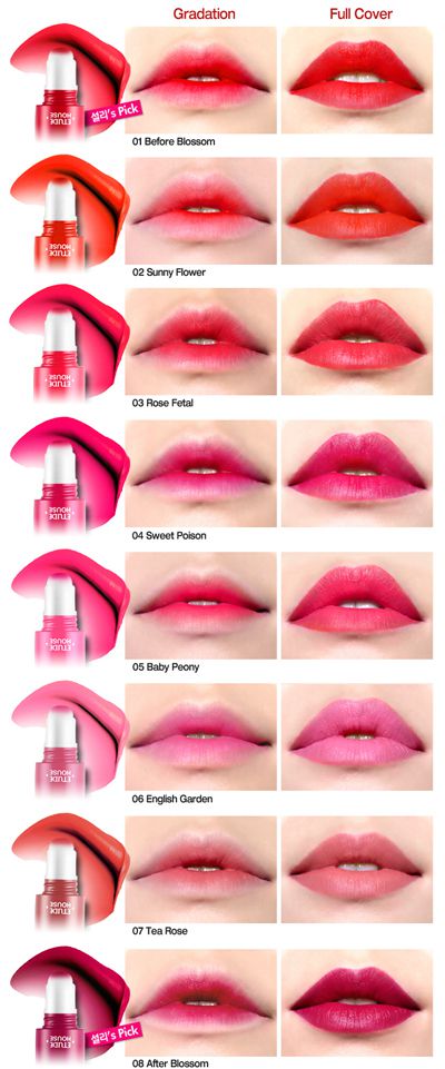 Review: Etude House Rosy Tint Lips - Riame's Name