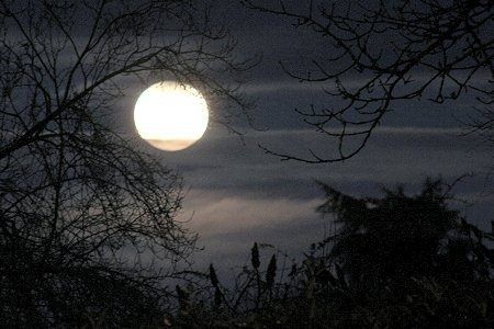 Clair de pleine lune envoyé par Elisabeth.