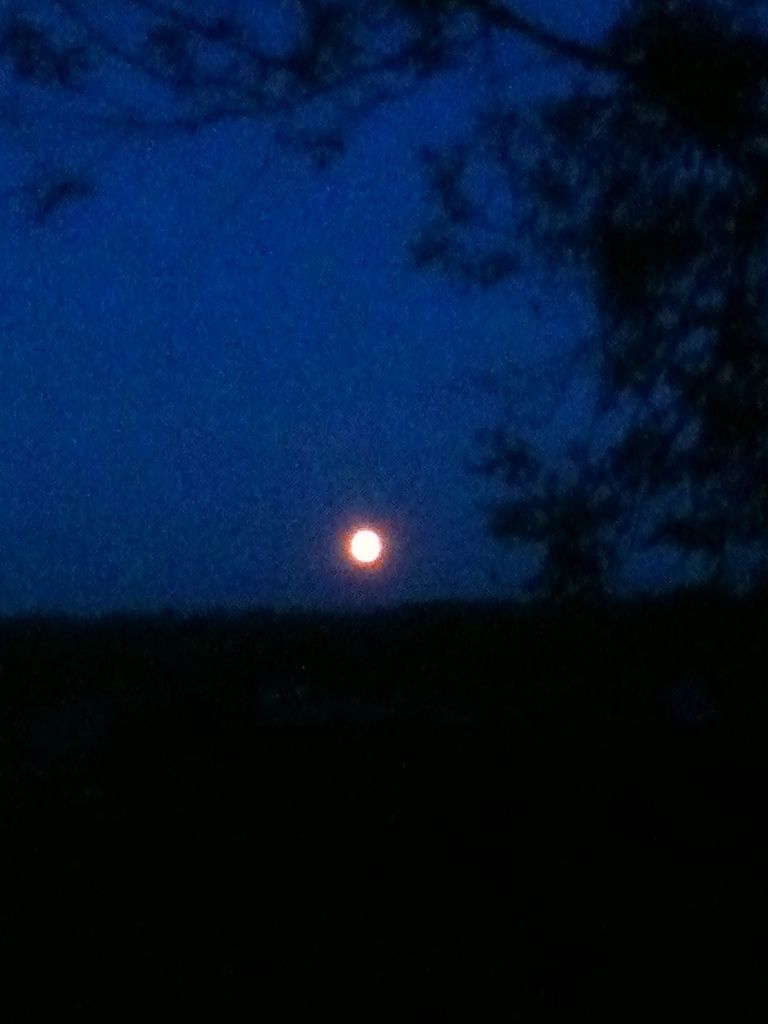 La pleine lune hier soir était des plus belles. Hélas ma photo n'a pas la qualité suffisante. On peut deviner cependant quelle magie elle exerce depuis toujours sur les poètes.