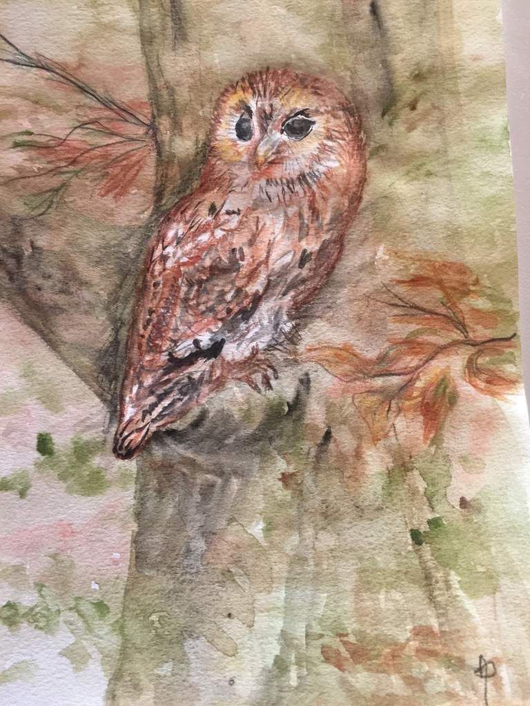 Avec, pour finir, cette aquarelle illustrant l'un de mes contes.