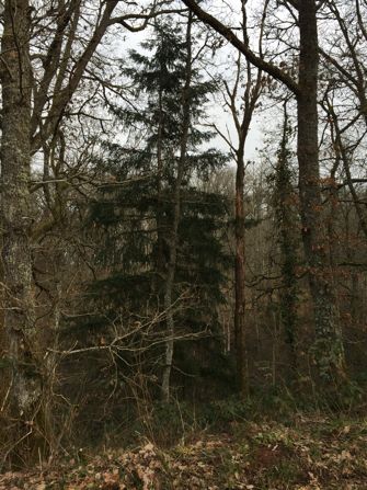 Il est des lieux qui enchantent...