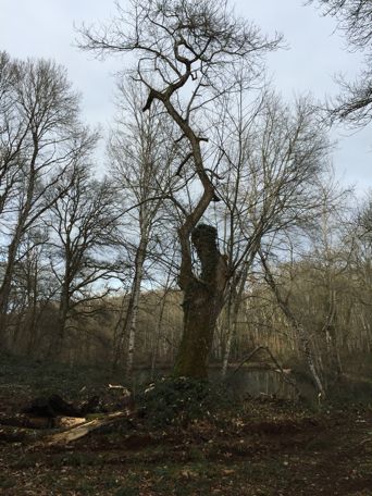 Il est des lieux qui enchantent...