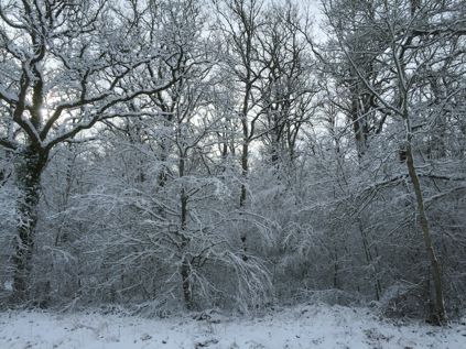 Effet de neige 