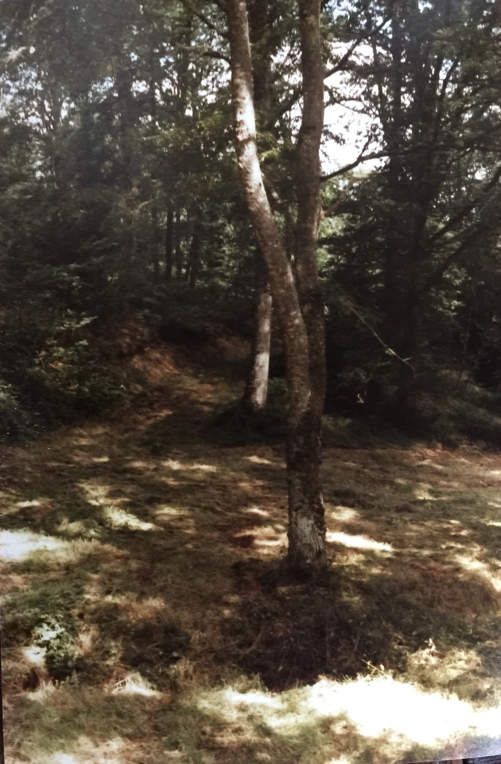Il est des lieux qui enchantent...