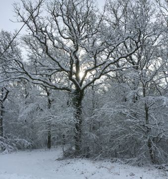 Effet de neige 