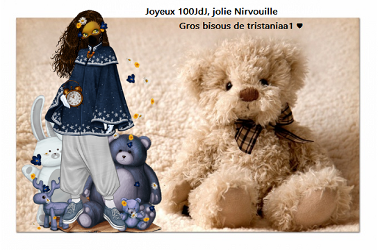 Les 100JdJ de Nirvouille par bimboig