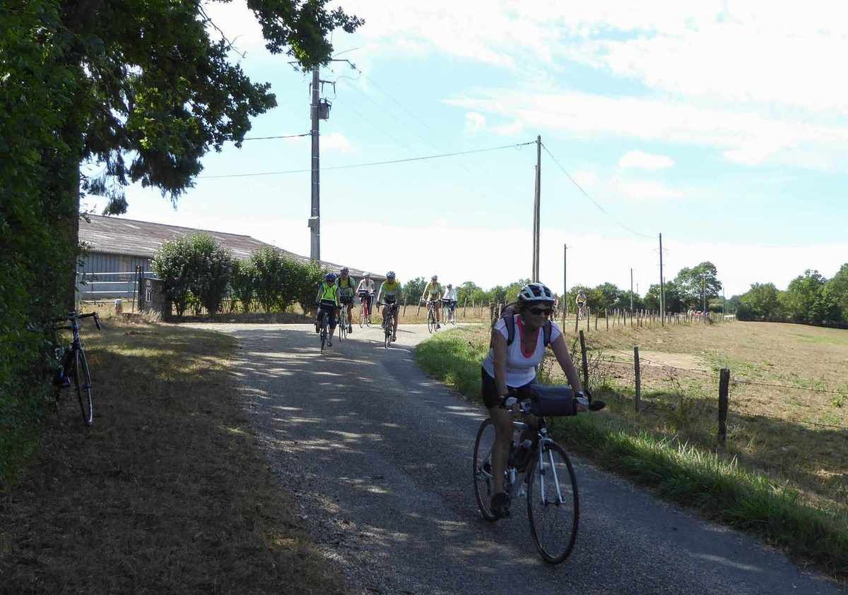 Villars les Dombes -.Découverte- 30 juillet 2015