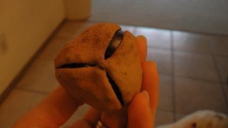 soiree famille - la couronne de l'automne