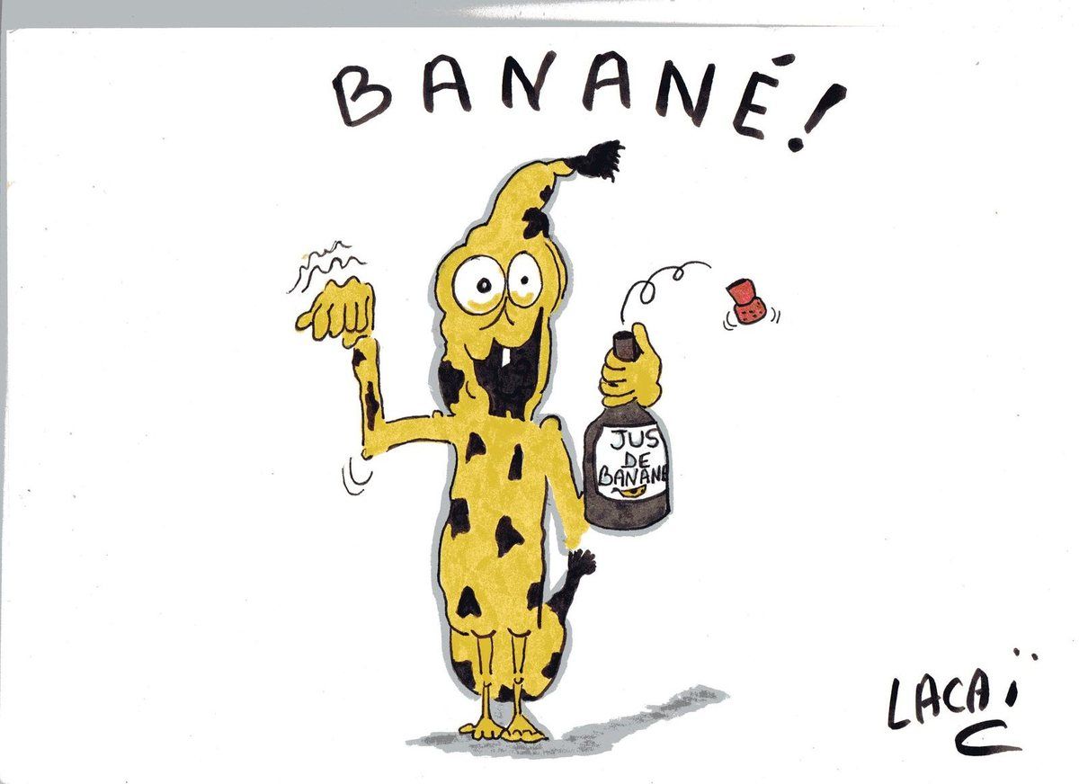 Meilleurs voeux 2019 Ob_6c0dd7_banane
