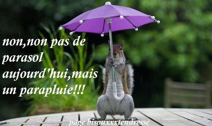 Il pleut, il pleut Bergère........ - Le blog de Didou