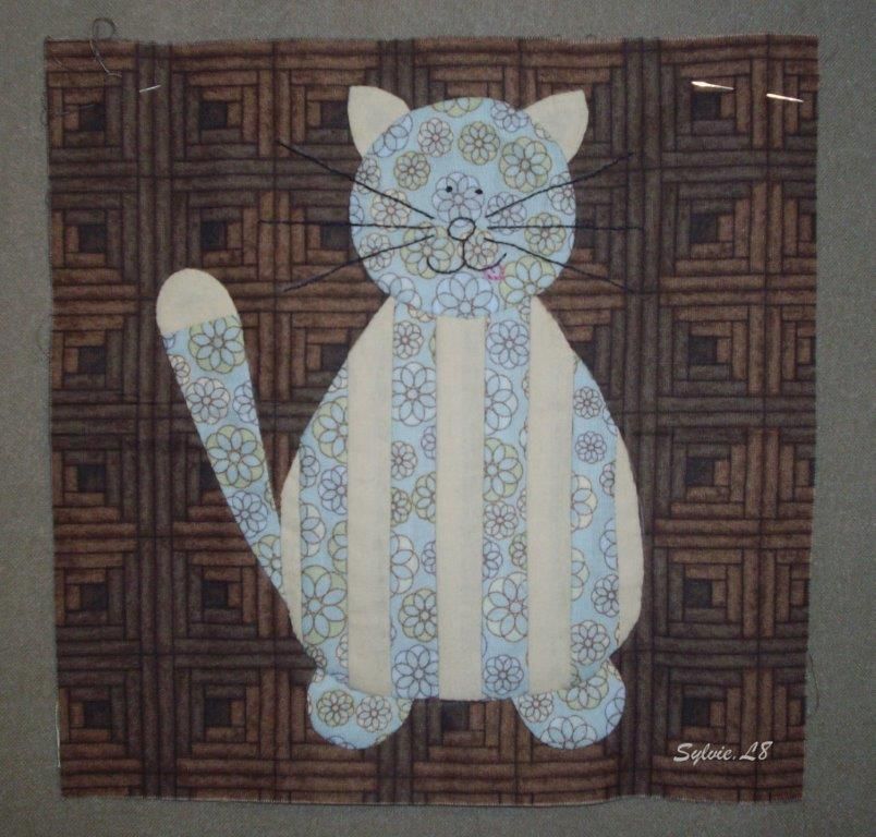 Crazy Cat 3