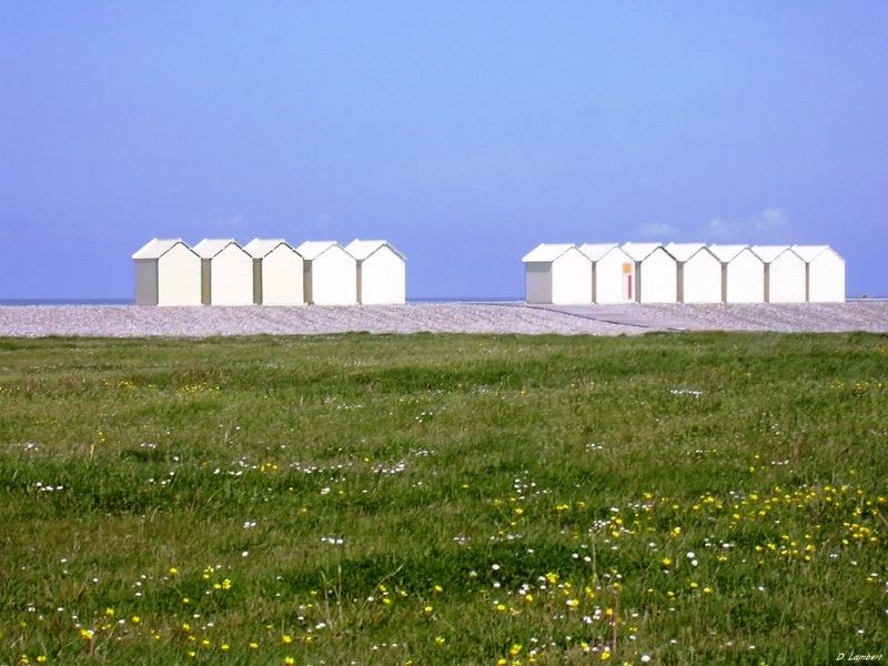 LES CABINES DE CAYEUX SUR MER...SE METTENT A L'ABRI...