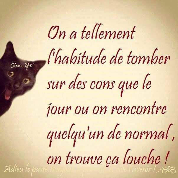 citation il est des rencontres