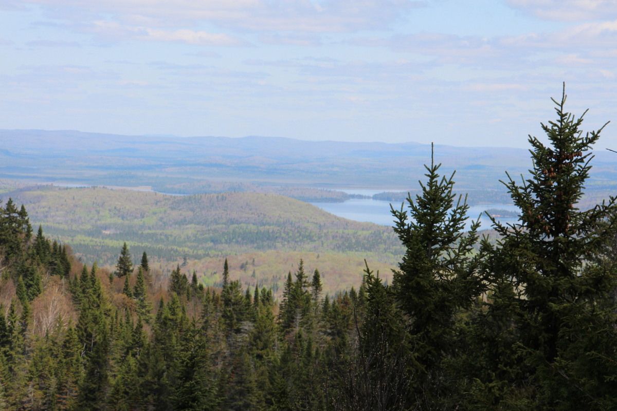 agence de rencontre mont-tremblant