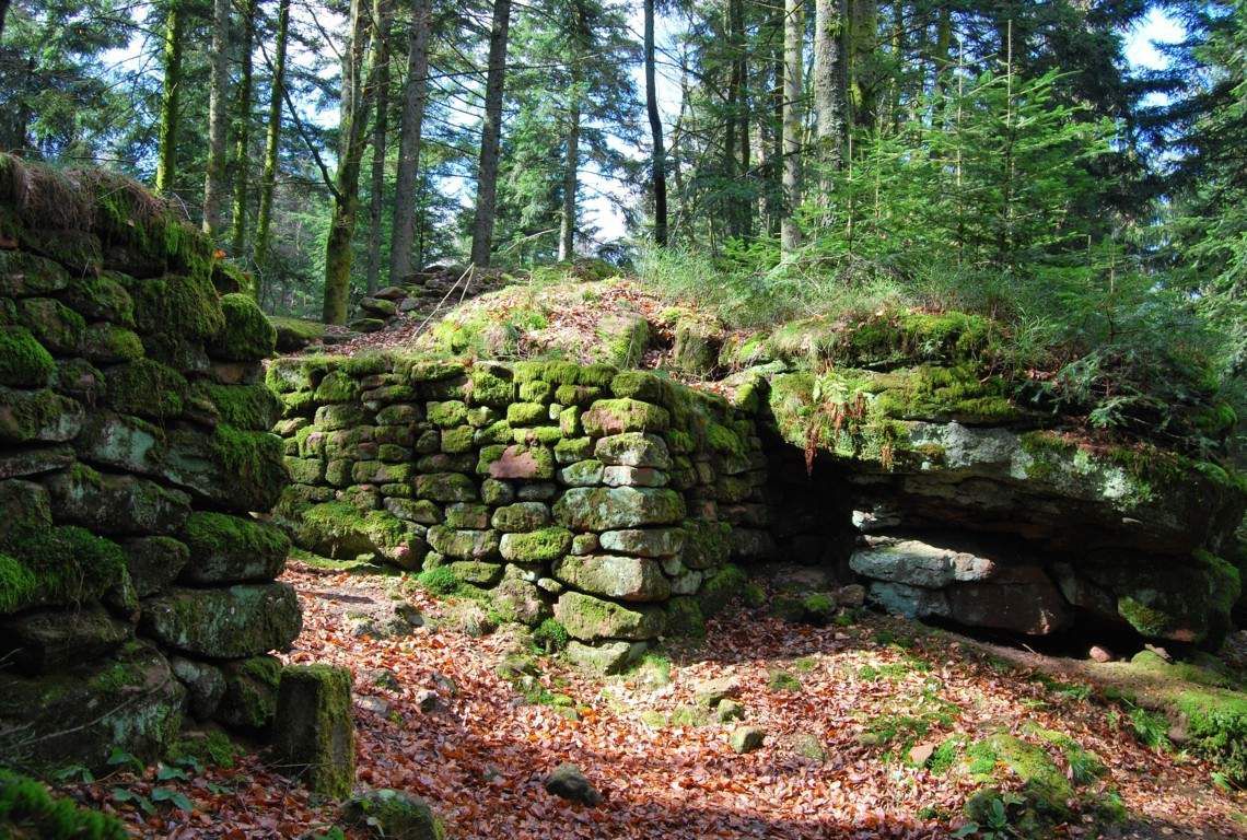 Une des portes dans l'enceinte du camp celtique de la Bure.