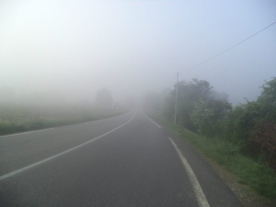 c est dans le brouillard qu une rencontre est belle