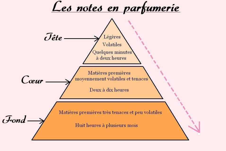 LA PYRAMIDE OLFACTIVE - LE LUXE POUR TOUS