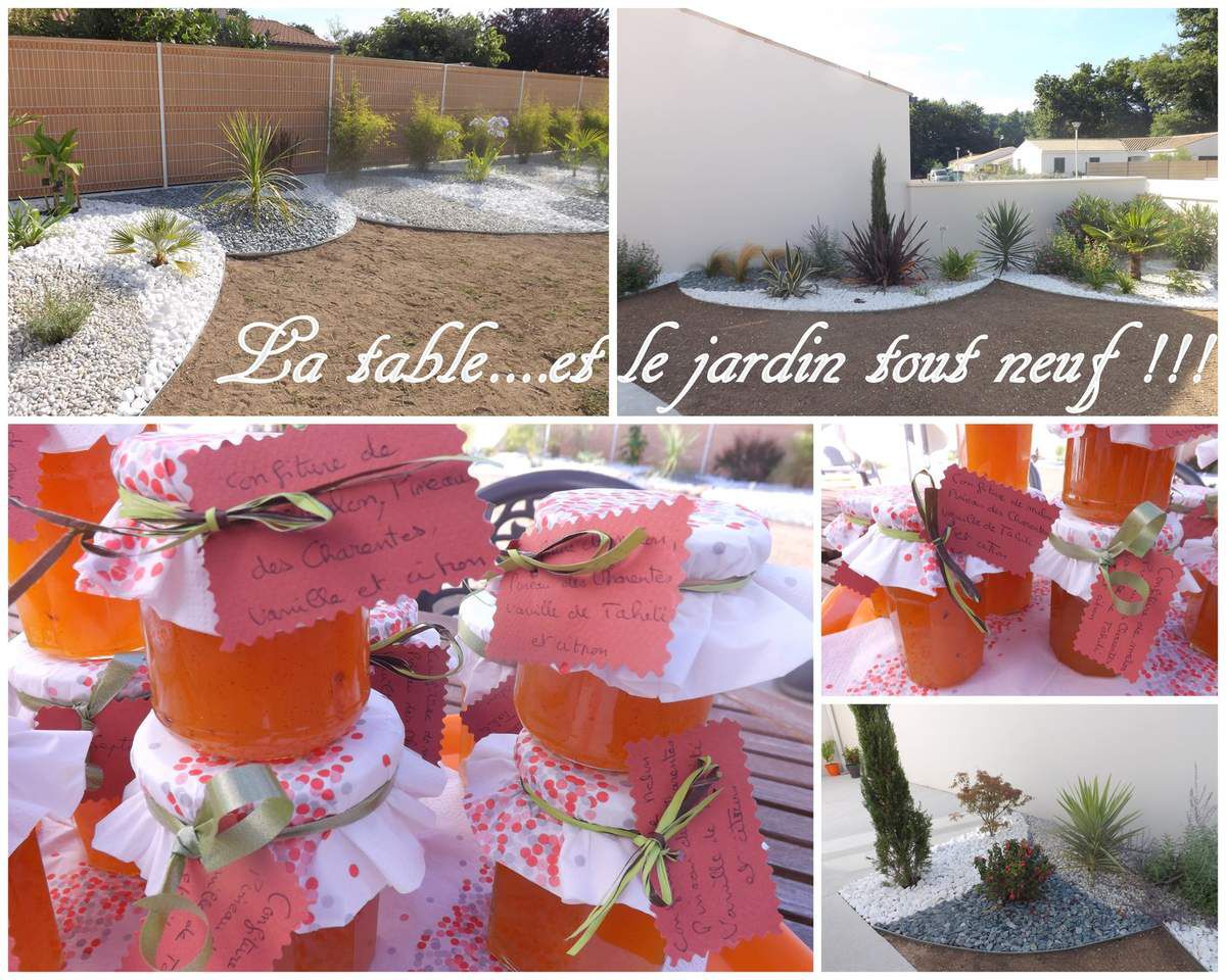 Et aussi, les plantations faites il y a deux mois, depuis, les plantes ont bien poussé !!!