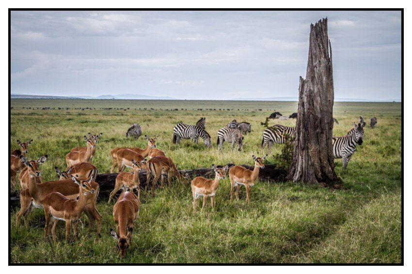 KENYA: Les paysages