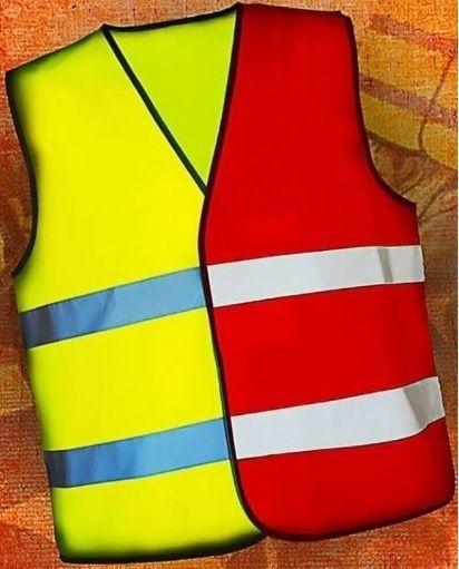 DU DRAPEAU ROUGE AU GILET JAUNE ? Pour un parti politique rÃ©volutionnaire prolÃ©tarien d'un genre nouveau 