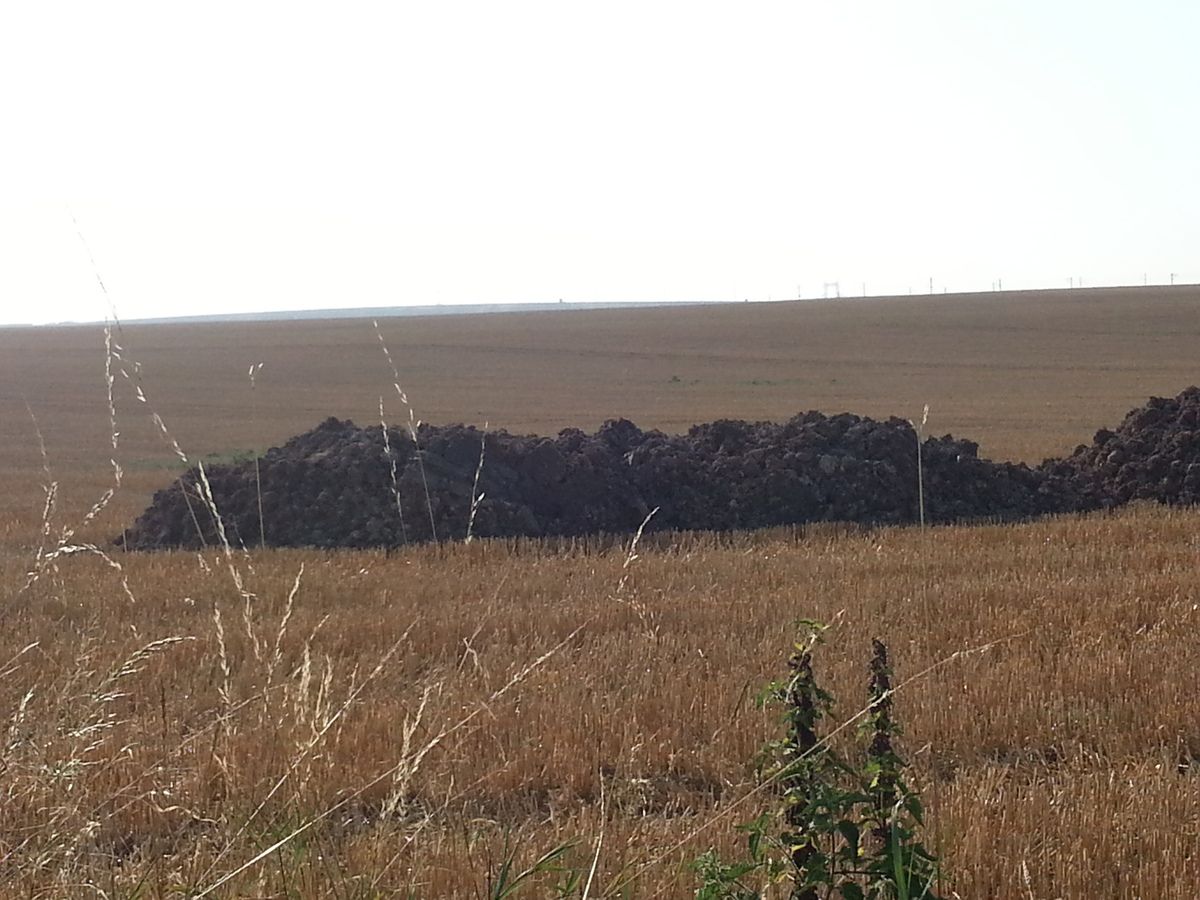 déchets de boues déversés sur les espaces agricoles de Messy 77