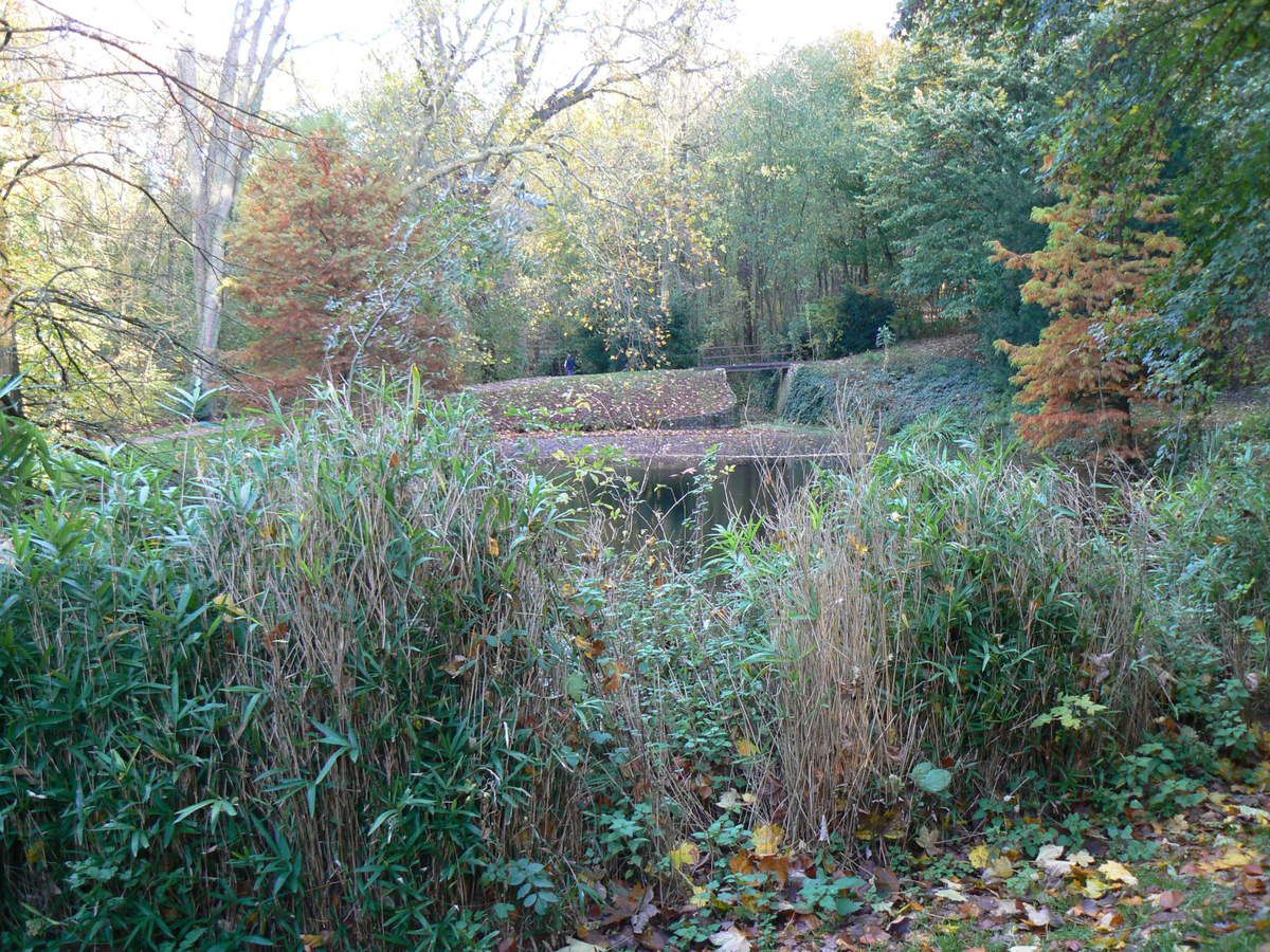 forêt régionale de Montgé en Goële : l'étang