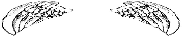http://img.over-blog-kiwi.com/1/45/53/21/20160703/ob_ad4ed2_2.png