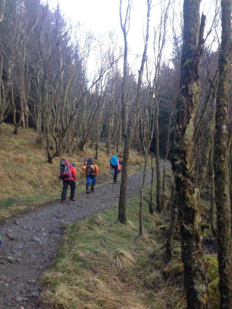dans les bois avant le grand vallon d'approche