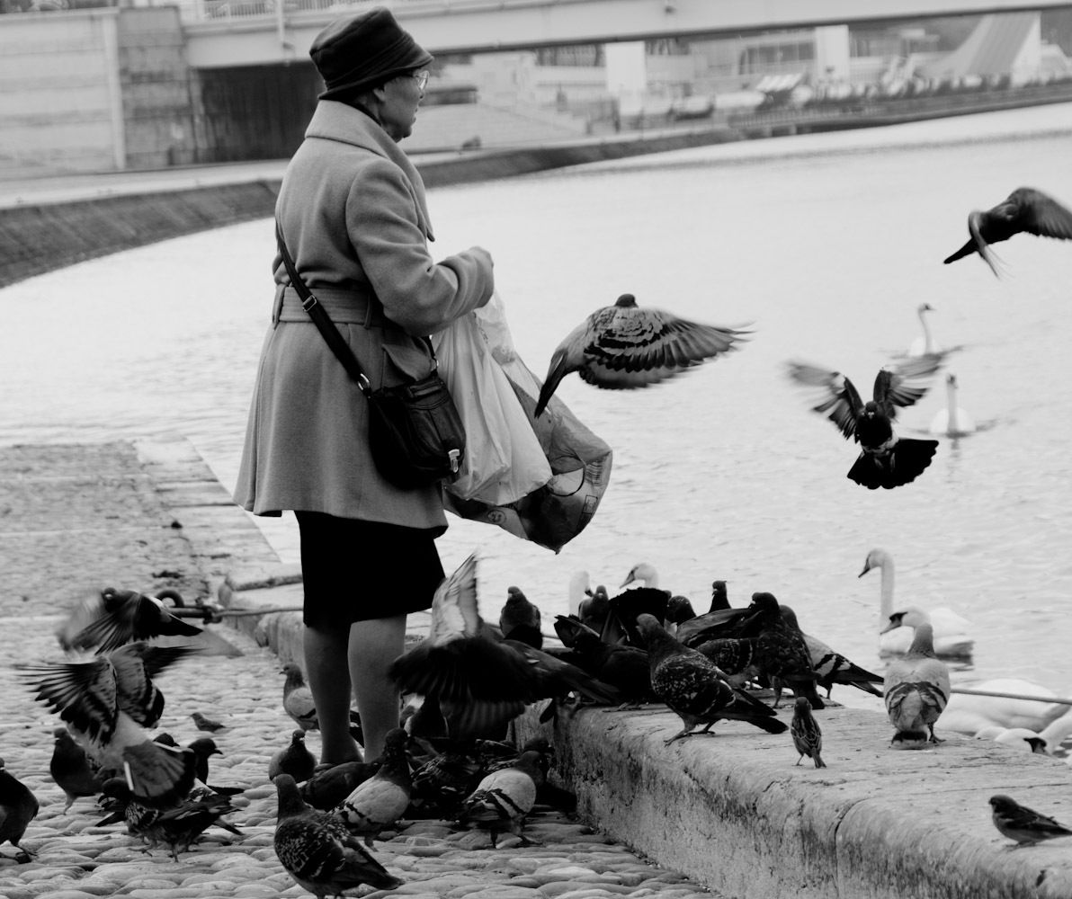 La dame aux pigeons