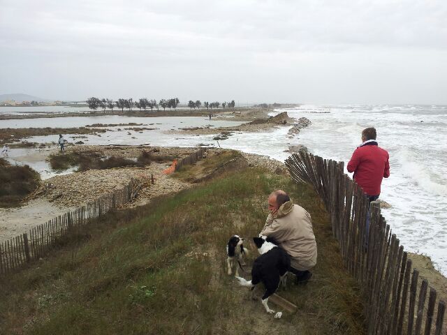 rencontre plage des aresquiers