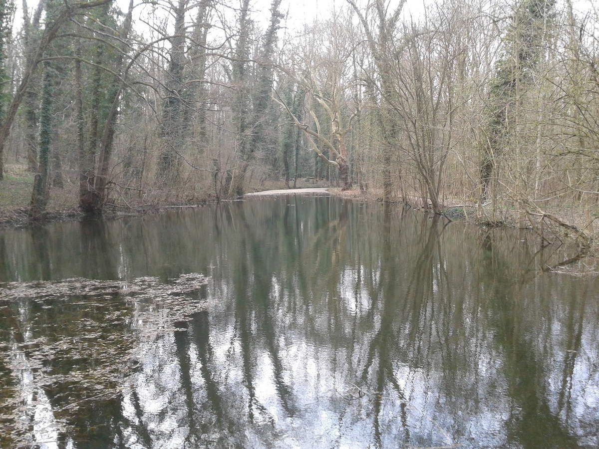 Site de rencontres quinqua