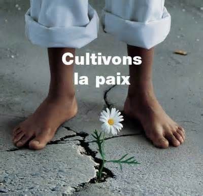 une rencontre s est tenue