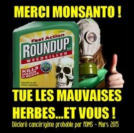 ob_eb632f_merci-monsanto269px.jpg