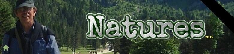 nature best articles nature best articles