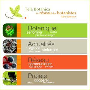 Tela Botanica - mars 2016 - La Lettre d'information sur l'actualité botanique