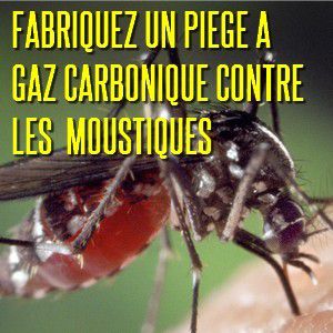 Le piège à moustique à gaz carbonique : faites-le vous-même ! (DIY) -  Natures Paul Keirn NATURES, SCIENCE & TRADITIONS, CONSOMMATION & SANTÉ