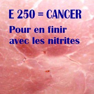 Cash investigation : E 250 (nitrites) cancérigènes. Vers le boycott d'E 250 ?