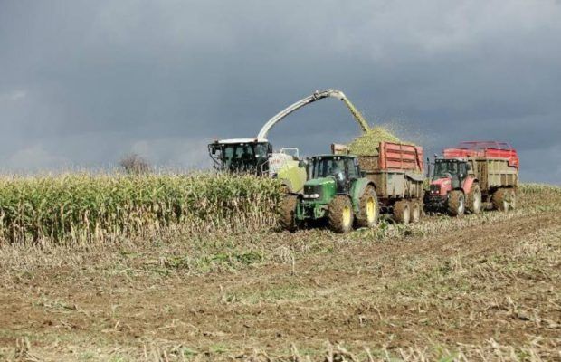 blog salope francaise salope agricultrice blog salope francaise salope agricultrice