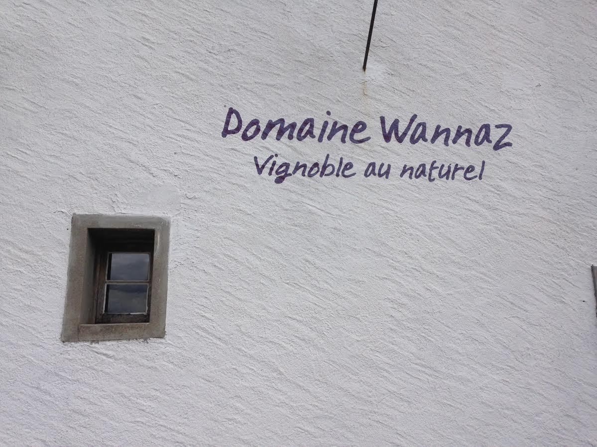 Le domaine de Gilles Wannaz : vignoble au naturel en Lavaux canton de Vaud «Le vin reste le meilleur moyen qu’ait trouvé l’homme pour faire parler la terre.»