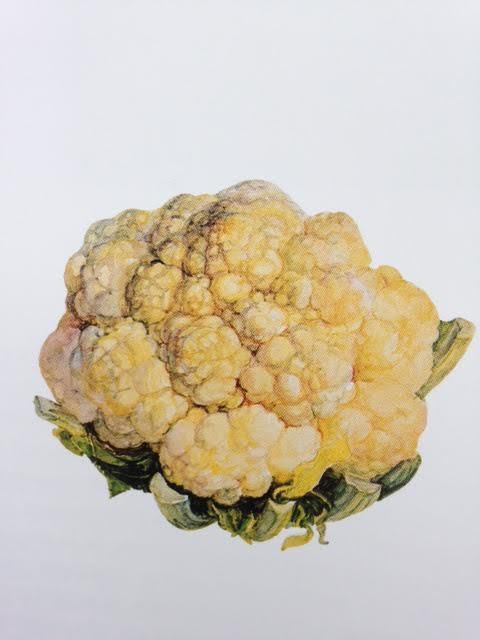 buy medrol online canada buy medrol online canada