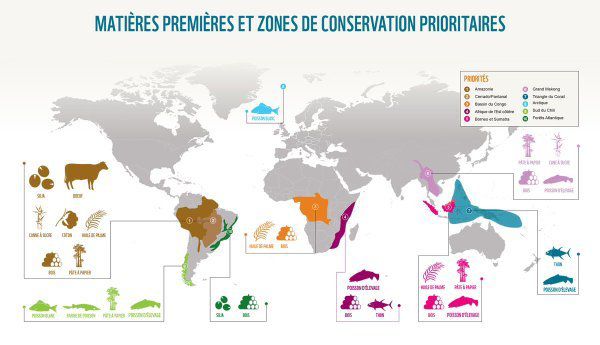 Carrefour prédateur n°1 de la biodiversité : c’est bon la GD pour votre porte-monnaie pas pour la forêt