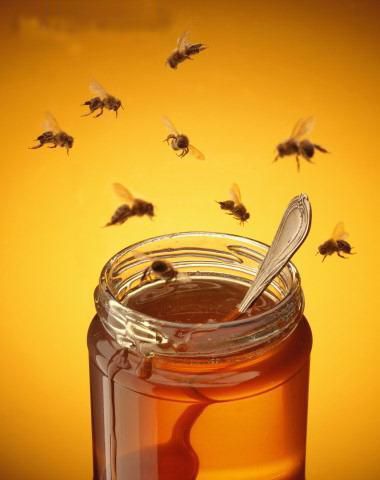Le Miel, un super médicament, 100% naturel… !
