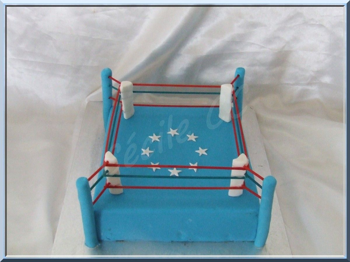 Decoration Gateau Theme Boxe Decoration Gateau Theme Boxe