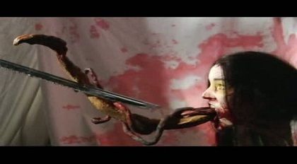 blood pigs