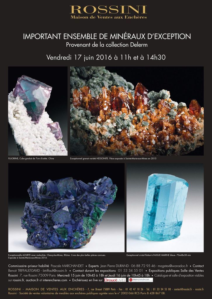 Vente de la collection DELERM le 17 juin 2016